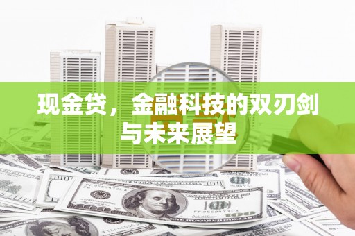 邵阳现金贷，金融科技的双刃剑与未来展望