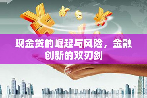 邵阳现金贷的崛起与风险，金融创新的双刃剑
