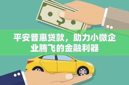 邵阳平安普惠贷款，助力小微企业腾飞的金融利器