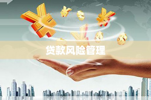 邵阳贷款风险管理