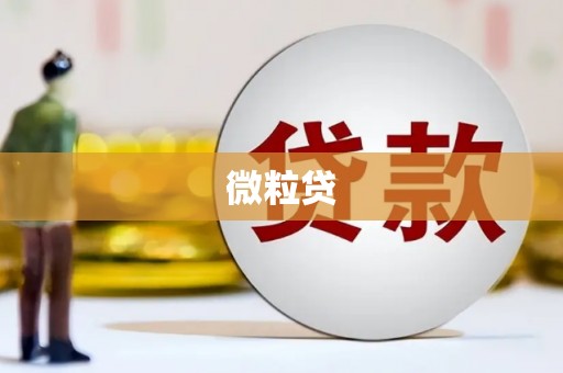 邵阳微粒贷