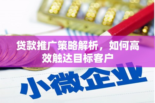 邵阳贷款推广策略解析，如何高效触达目标客户