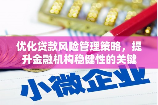 邵阳优化贷款风险管理策略，提升金融机构稳健性的关键