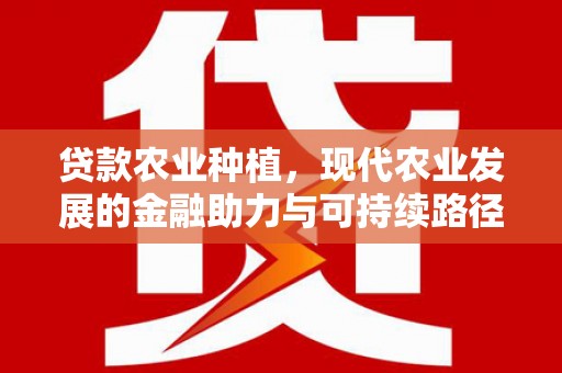 邵阳贷款农业种植，现代农业发展的金融助力与可持续路径