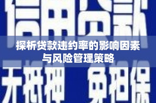 邵阳探析贷款违约率的影响因素与风险管理策略