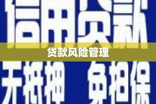 邵阳贷款风险管理