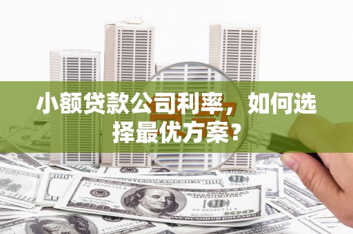 邵阳小额贷款公司利率，如何选择最优方案？