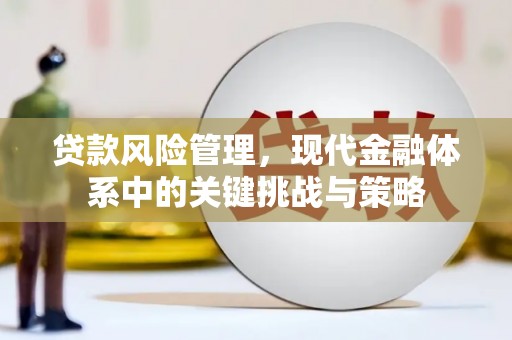 邵阳贷款风险管理，现代金融体系中的关键挑战与策略