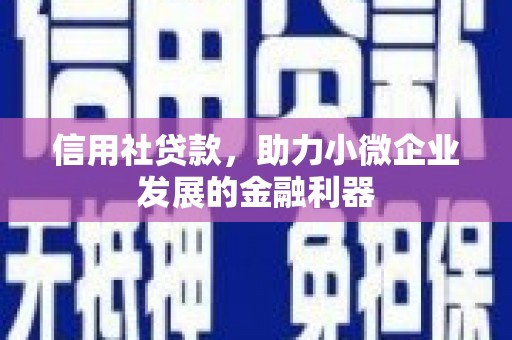 邵阳信用社贷款，助力小微企业发展的金融利器