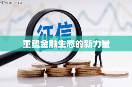 邵阳重塑金融生态的新力量