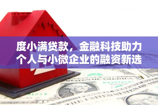 邵阳度小满贷款，金融科技助力个人与小微企业的融资新选择