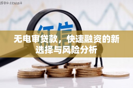 邵阳无电审贷款，快速融资的新选择与风险分析