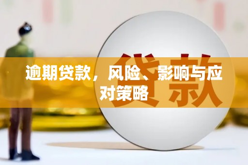 邵阳逾期贷款，风险、影响与应对策略