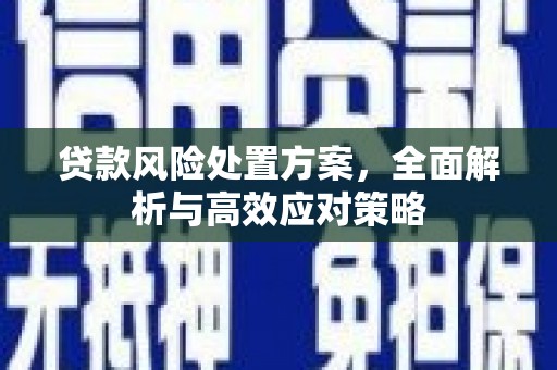 邵阳贷款风险处置方案，全面解析与高效应对策略
