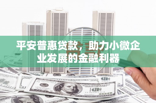 邵阳平安普惠贷款，助力小微企业发展的金融利器