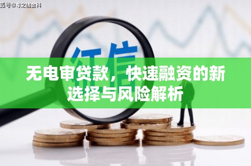 邵阳无电审贷款，快速融资的新选择与风险解析