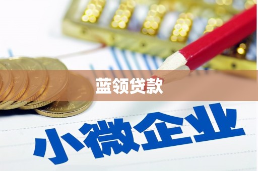 邵阳蓝领贷款