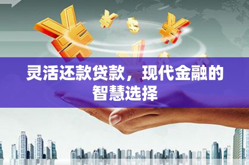 邵阳灵活还款贷款，现代金融的智慧选择