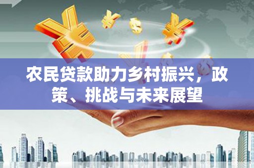 邵阳农民贷款助力乡村振兴，政策、挑战与未来展望