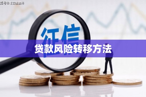 邵阳贷款风险转移方法