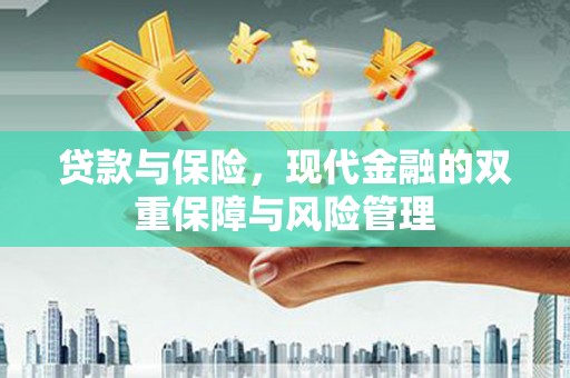 邵阳贷款与保险，现代金融的双重保障与风险管理