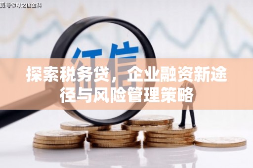 邵阳探索税务贷，企业融资新途径与风险管理策略