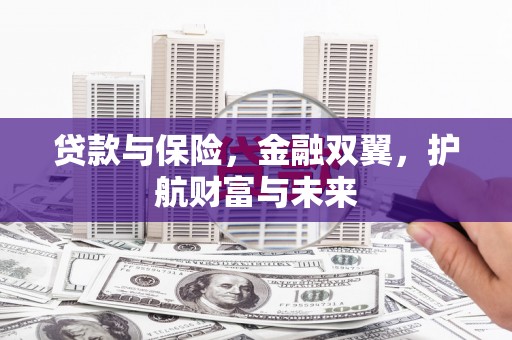 邵阳贷款与保险，金融双翼，护航财富与未来