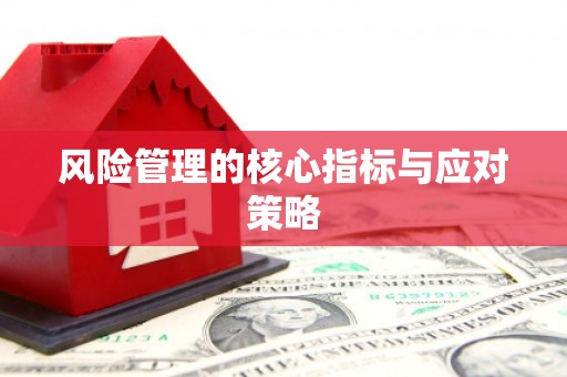 邵阳风险管理的核心指标与应对策略