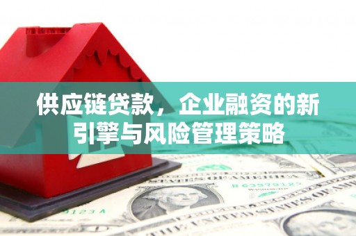 邵阳供应链贷款，企业融资的新引擎与风险管理策略
