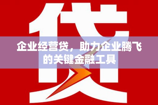邵阳企业经营贷，助力企业腾飞的关键金融工具