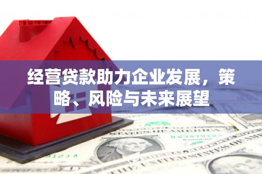 邵阳经营贷款助力企业发展，策略、风险与未来展望