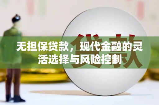 邵阳无担保贷款，现代金融的灵活选择与风险控制