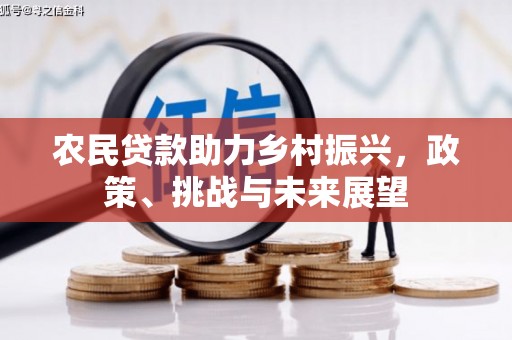 邵阳农民贷款助力乡村振兴，政策、挑战与未来展望