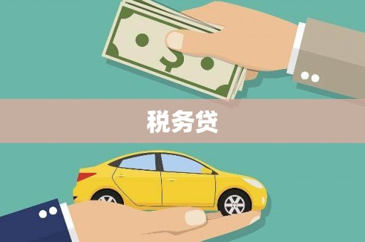 邵阳税务贷