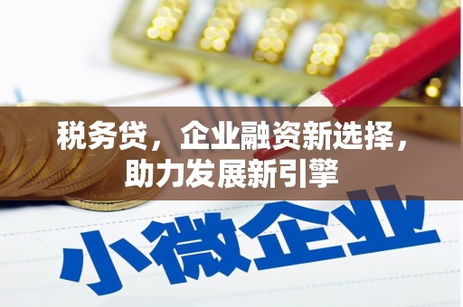 邵阳税务贷，企业融资新选择，助力发展新引擎