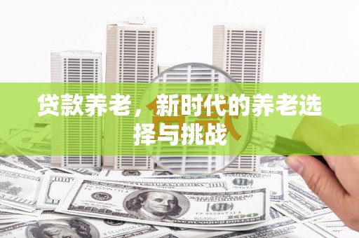 邵阳贷款养老，新时代的养老选择与挑战
