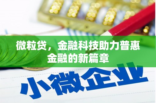邵阳微粒贷，金融科技助力普惠金融的新篇章