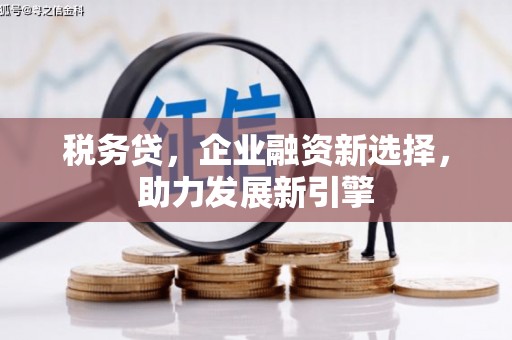 邵阳税务贷，企业融资新选择，助力发展新引擎