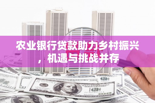 邵阳农业银行贷款助力乡村振兴，机遇与挑战并存
