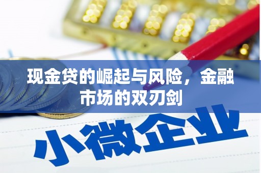 邵阳现金贷的崛起与风险，金融市场的双刃剑
