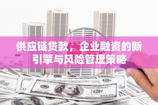 邵阳供应链贷款，企业融资的新引擎与风险管理策略
