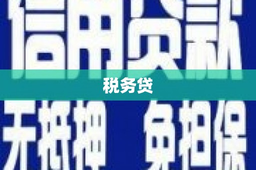 邵阳税务贷