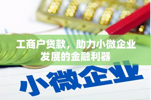 邵阳工商户贷款，助力小微企业发展的金融利器
