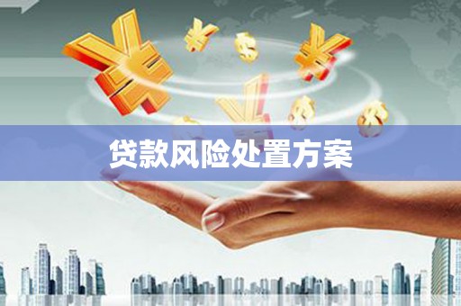 邵阳贷款风险处置方案