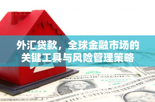 邵阳外汇贷款，全球金融市场的关键工具与风险管理策略