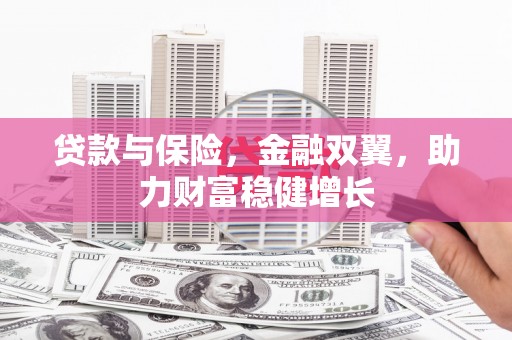 邵阳贷款与保险，金融双翼，助力财富稳健增长