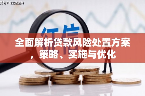 邵阳全面解析贷款风险处置方案，策略、实施与优化