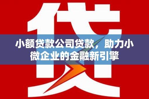 邵阳小额贷款公司贷款，助力小微企业的金融新引擎