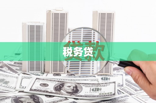 邵阳税务贷