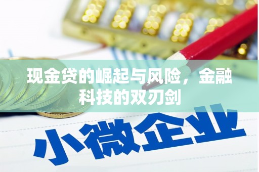 邵阳现金贷的崛起与风险，金融科技的双刃剑
